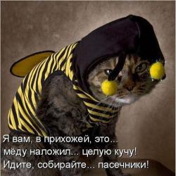 post-33358-0-02752400-1424270296_thumb.j