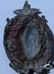 post-33440-0-58277000-1424637062_thumb.j