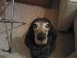 post-4131-0-85521700-1425143528_thumb.jp