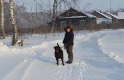 post-4485-0-14735700-1423842598_thumb.jp