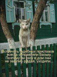 post-4989-0-28310500-1423328503_thumb.jp