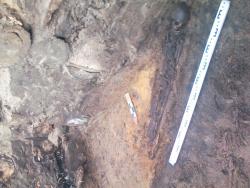 post-6128-0-01503000-1425056656_thumb.jp