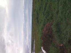 post-6128-0-62225500-1425057577_thumb.jp