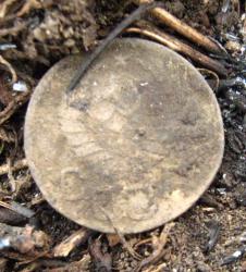 post-6890-0-39806000-1425159013_thumb.jp