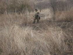 post-6890-0-49287200-1425160186_thumb.jp