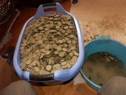 post-7195-0-76533500-1423568797_thumb.jp