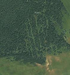 post-7485-0-76161000-1425130848_thumb.jp