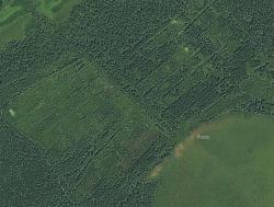 post-7485-0-84195900-1425130830_thumb.jp