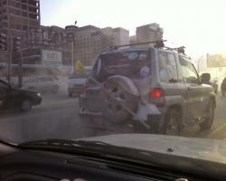 post-1094-0-16158500-1301198952_thumb.jp