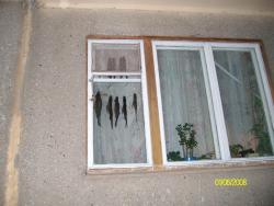 post-1094-0-16793100-1301199004_thumb.jp