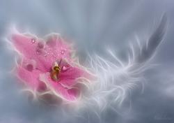 post-1724-0-13639500-1299572597_thumb.jp