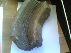 post-2244-0-24982000-1300635720_thumb.jp