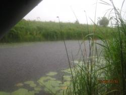 post-2511-0-44837900-1299380703_thumb.jp