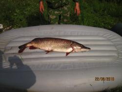 post-2511-0-67582700-1299380645_thumb.jp