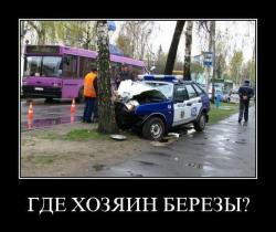 post-2511-0-84654600-1300102471_thumb.jp