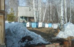 post-2649-0-15420100-1301581761_thumb.jp