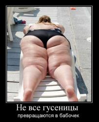 post-2838-0-11597600-1301380039_thumb.jp