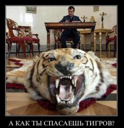 post-2838-0-55748700-1301384267_thumb.jp