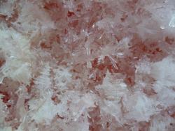 post-2838-0-61824600-1299934737_thumb.jp