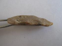 post-3107-0-20982700-1301216353_thumb.jp