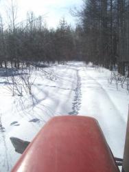 post-4269-0-13192400-1299482644_thumb.jp