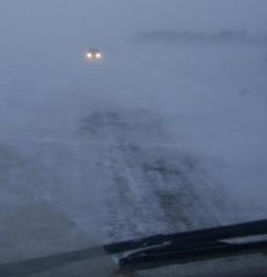 post-4269-0-21405900-1299853778_thumb.jp