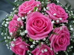 post-4632-0-18116400-1299553577_thumb.jp