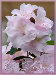 post-4743-0-40929500-1299560666_thumb.jp