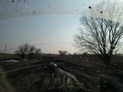 post-4855-0-05653100-1301508546_thumb.jp