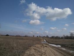 post-4855-0-54667100-1300868472_thumb.jp