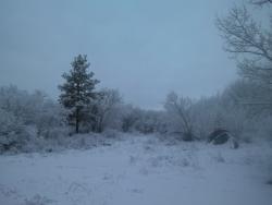 post-4855-0-71145300-1301227898_thumb.jp