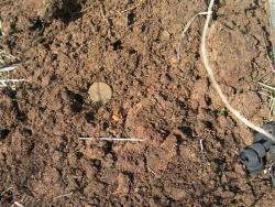 post-4855-0-83352300-1301507723_thumb.jp