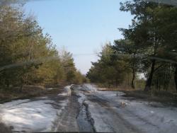 post-4855-0-90138200-1301508503_thumb.jp