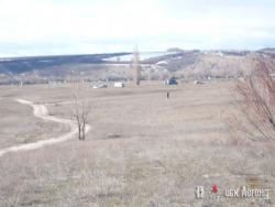 post-4855-0-94455000-1301228271_thumb.jp