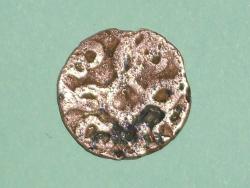 post-5927-0-29573600-1300000760_thumb.jp