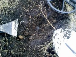 post-6086-0-63132500-1301361905_thumb.jp