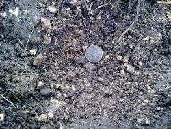 post-6086-0-92576000-1301360847_thumb.jp