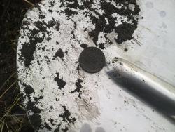 post-6086-0-93148900-1301361865_thumb.jp