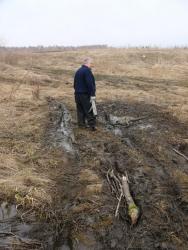 post-1023-0-22552200-1332573163_thumb.jp