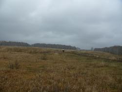 post-1023-0-81171700-1332573371_thumb.jp