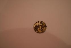 post-10416-0-29299300-1332608254_thumb.j