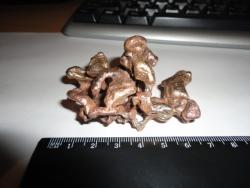 post-10440-0-15856500-1331816995_thumb.j