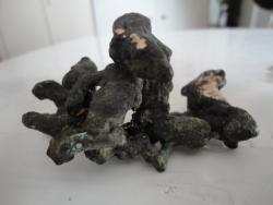 post-10440-0-41809200-1331800176_thumb.j