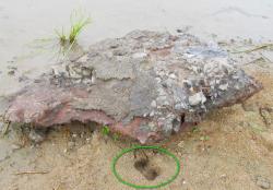 post-10470-0-33903000-1331018188_thumb.j