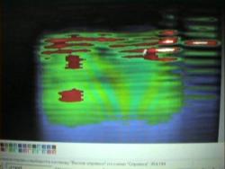 засыпанный блиндаж с деревянным перекрытияем.jpg