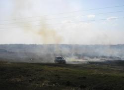 post-1617-0-86026000-1332674087_thumb.jp