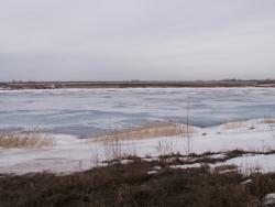 post-1697-0-87180600-1333169236_thumb.jp