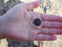 post-1996-0-55550800-1333190562_thumb.jp