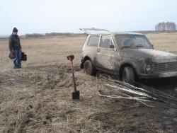 post-2079-0-99967600-1330788200_thumb.jp