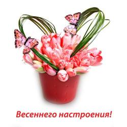 post-2102-0-03203900-1331166385_thumb.jp